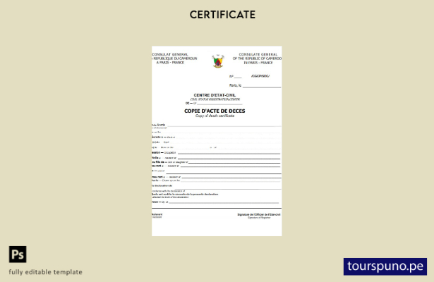 listo para imprimir plantilla de certificado de defunción del Registro General 1